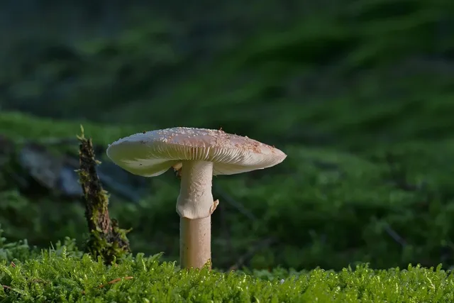 Pokój 2-osobowy na II piętrze